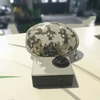 Kép 1/9 - Sport_Kamera_CAMO_mini_box