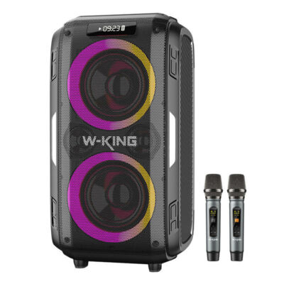 W-KING T9 Pro vezeték nélküli Bluetooth hangszóró, 2db mikrofonnal, 120W, fekete