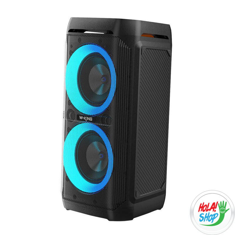 Wireless Bluetooth Speaker W-KING T11 100W (black)